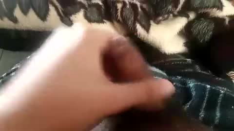 dansweetie_20 online show from February 20, 2026, 12:18 am