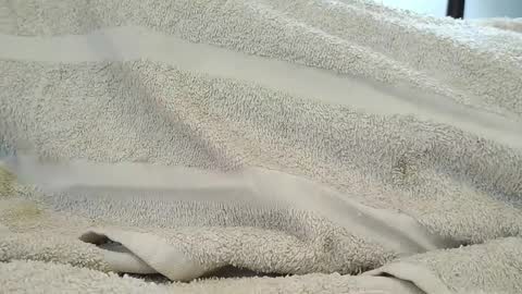 Snapshot of dapppper chatting on September 18, 2025, 6:10 pm dapppper online show from September 18, 2025, 6:10 pm