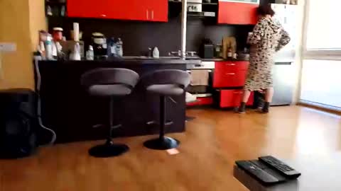 dxd69 online show from April 8, 2026, 3:01 pm