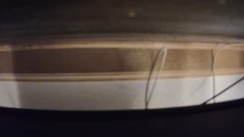 daron69803227 online show from January 17, 2026, 8:08 am