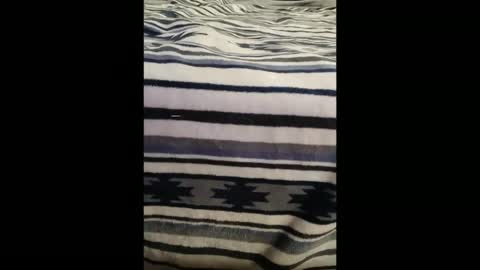 dat_guy8806 online show from January 5, 2026, 11:52 pm