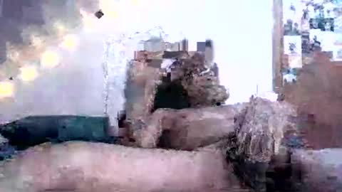 Snapshot of david69992347976413 chatting on February 16, 2025, 2:10 pm David Berry online show from February 16, 2025, 2:10 pm