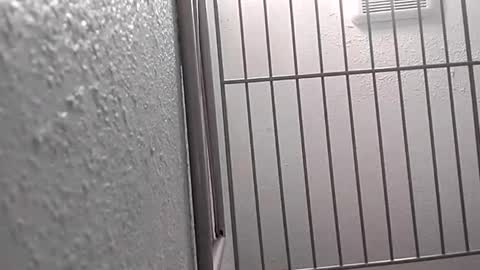 Snapshot of david_stone1969 chatting on January 25, 2025, 8:10 pm david_stone1969 online show from January 25, 2025, 8:10 pm