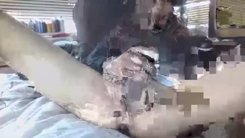 Your daddy online show from September 30, 2025, 6:35 pm