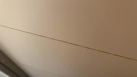 Hornybear online show from January 15, 2026, 7:02 am