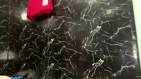 May online show from April 12, 2026, 3:50 pm