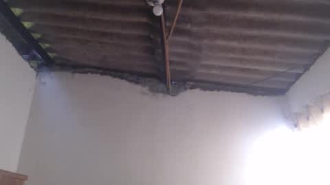 Dylon online show from October 25, 2025, 12:23 pm