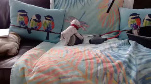 deeperjohnny online show from October 21, 2025, 3:35 pm