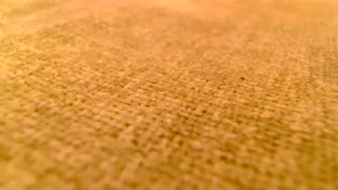 deliciaalove online show from December 17, 2024, 7:37 pm