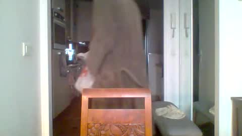 demundu online show from November 17, 2025, 1:17 pm