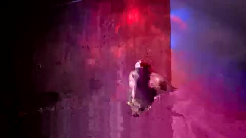 den2807 online show from April 17, 2026, 2:25 am