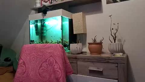 Denise and Brad online show from February 3, 2026, 5:07 pm