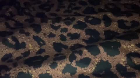 derek829099 online show from September 11, 2025, 6:57 am