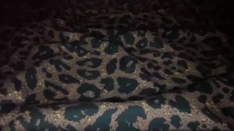 derek829099 online show from November 7, 2025, 1:16 am