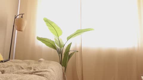 ...Ill be back ... online show from March 12, 2026, 7:25 am