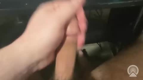 devin255395 online show from December 3, 2025, 7:45 pm