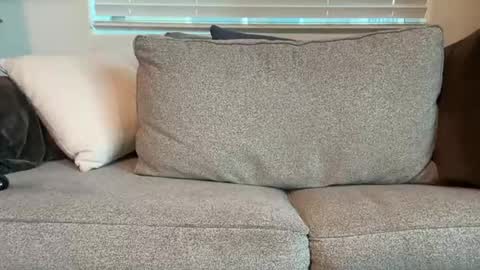 dgafsd online show from December 15, 2025, 3:27 pm