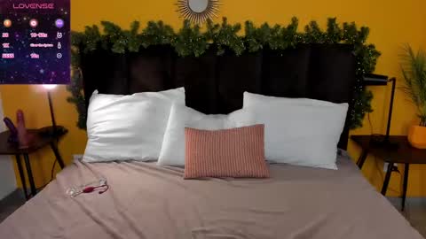 Snapshot of diana_garrett chatting on December 27, 2024, 9:06 am Diana  online show from December 27, 2024, 9:06 am