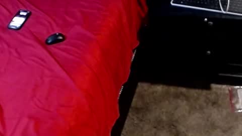 Sparkx online show from September 28, 2025, 5:13 am