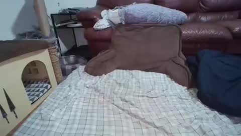 dickslayerdan online show from November 22, 2025, 12:31 am