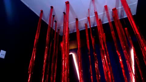 Diego online show from February 6, 2025, 5:51 pm