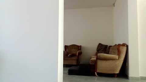 Diego online show from December 15, 2024, 6:04 pm