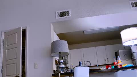 Dilldough405 online show from February 11, 2025, 9:56 pm