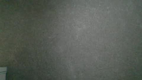 Snapshot of dimasvit5306 chatting on June 13, 2026, 7:34 pm dimasvit5306 online show from June 13, 2026, 7:34 pm