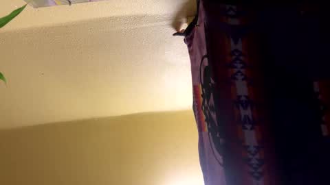 dimepiecebottom online show from December 8, 2024, 1:47 pm