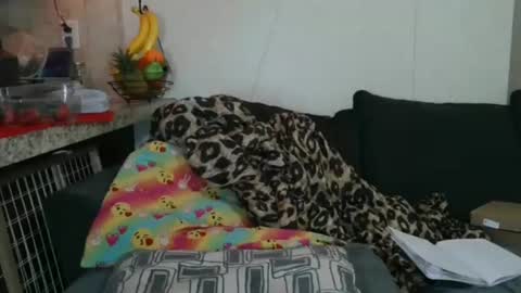 Sofie online show from November 25, 2025, 5:35 pm