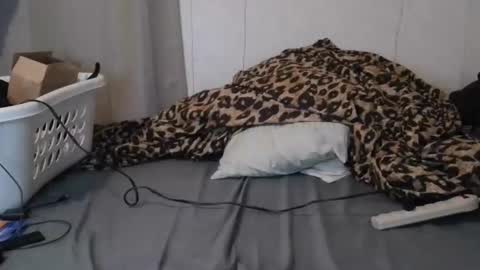 Sofie online show from January 16, 2026, 6:28 am