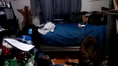 dinodick4uall online show from January 6, 2025, 8:03 am