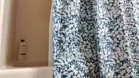 DIPSTIK online show from November 30, 2025, 1:15 pm