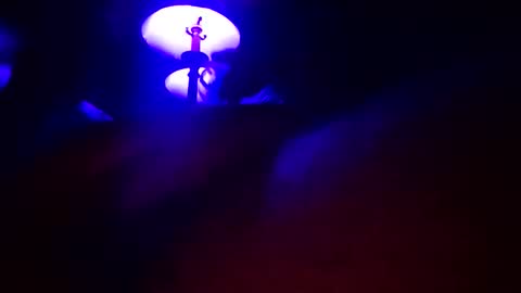 DIPSTIK online show from April 15, 2026, 9:16 am