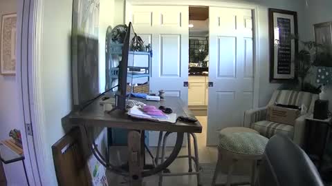 DirtkPitt Fun guy working online show from February 1, 2025, 6:40 pm