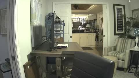 DirtkPitt Fun guy working online show from February 9, 2025, 6:01 am