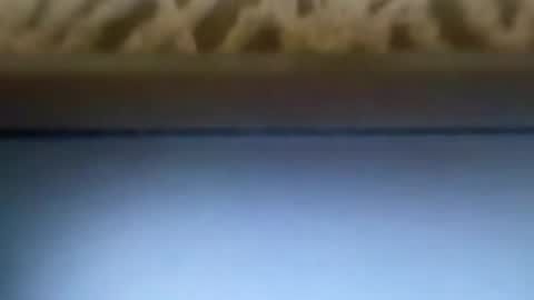 free4fun online show from April 9, 2026, 6:13 am