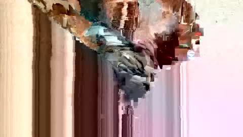 Snapshot of dirtmcgirt82 chatting on February 11, 2025, 5:26 am dirtmcgirt82 online show from February 11, 2025, 5:26 am