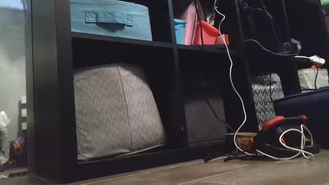 Snapshot of dirtydaisy1998 chatting on December 27, 2024, 11:21 pm Daisy Wylde online show from December 27, 2024, 11:21 pm