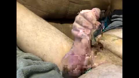 Dirtykurty5000 online show from September 12, 2025, 11:43 am