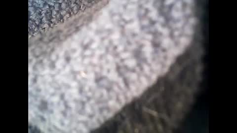 Snapshot of discovery63 chatting on May 25, 2026, 9:48 am discovery63 online show from May 25, 2026, 9:48 am