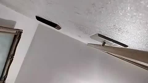 Snapshot of dixonbird41 chatting on February 11, 2025, 2:46 am dixonbird41 online show from February 11, 2025, 2:46 am