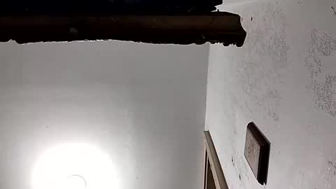 Snapshot of dixonbird41 chatting on February 18, 2025, 3:54 pm dixonbird41 online show from February 18, 2025, 3:54 pm