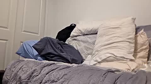 djaxxx_2020 online show from March 27, 2026, 3:12 am