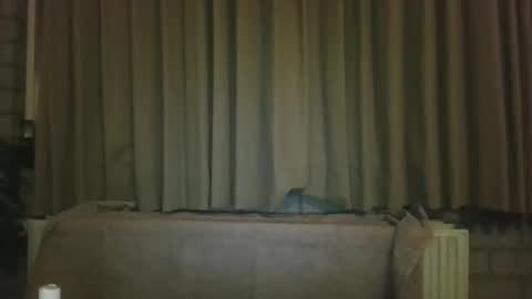 djensenhc online show from January 11, 2026, 11:32 pm