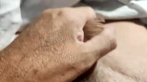 dockydick online show from October 14, 2025, 12:00 am