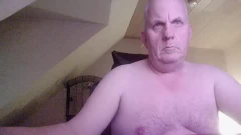 doggy2629 online show from December 15, 2025, 4:55 pm