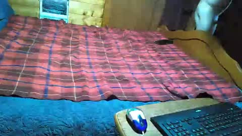 dolomois online show from February 12, 2025, 1:06 pm