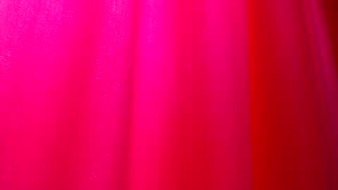 DommeTomorrow online show from February 25, 2025, 5:36 pm