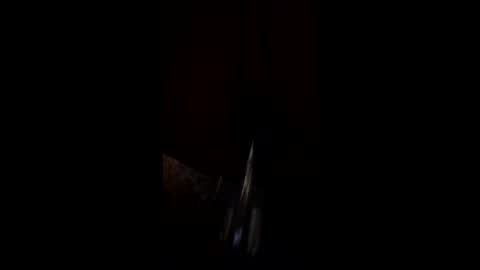 don996882242 online show from May 26, 2026, 11:06 am